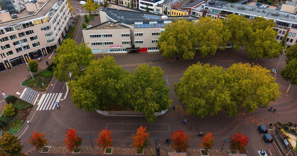 ‘Afschuwelijk gebouw, maar het moet wel blijven’: lezers verdeeld over toekomst van De Klinker