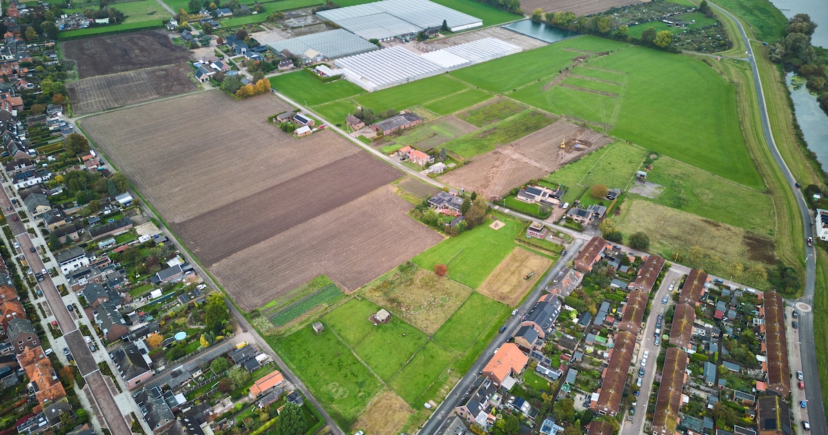 Zutphen wil 840 huizen bouwen op plek waar de IJssel straks extra water moet kunnen opvangen