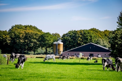 Image related to the article