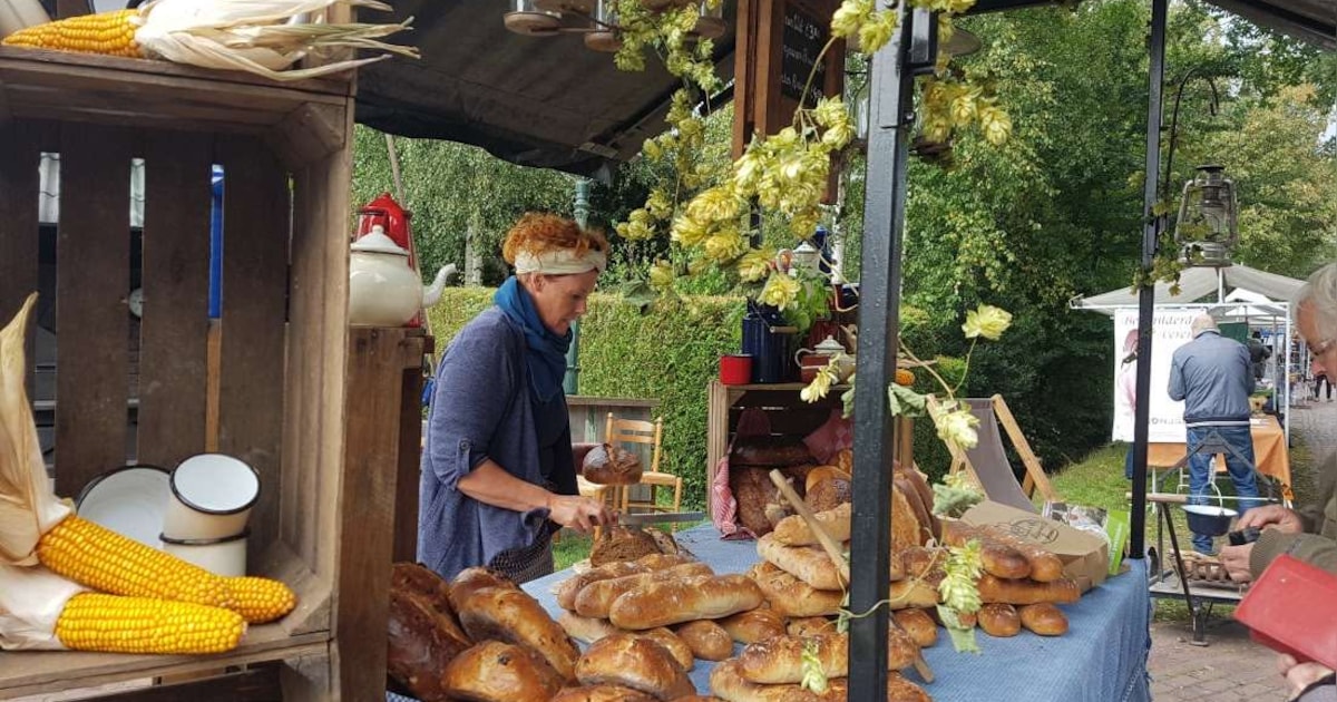Oogstfeest Meppen dit weekend met 100 kraampjes en gratis parkeren