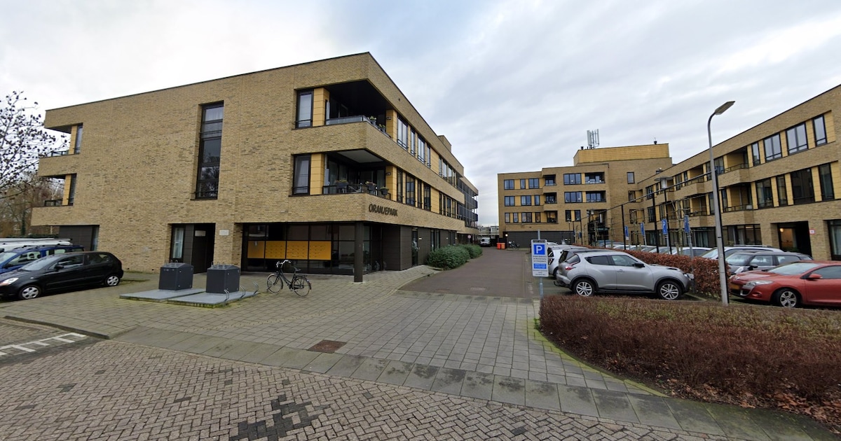 Nog tot 25 februari reageren op plannen Oranjepark na inloopbijeenkomst