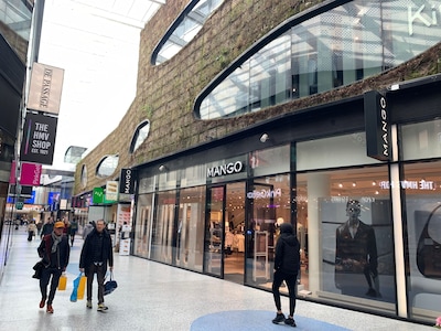 Allemaal beestjes… de plantjes van de Nieuwe Passage zijn weg