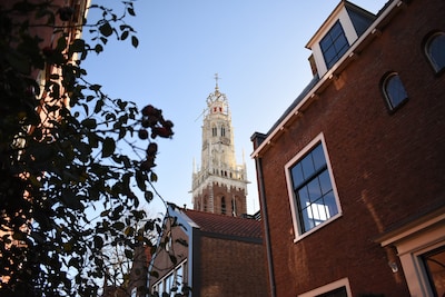 Open Monument Day in Haarlem: these are the special places you can visit