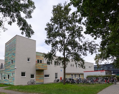 Gemeente weigert kap boom voor opvang daklozen in Zwolle: zijn er in winter genoeg slaapplekken?