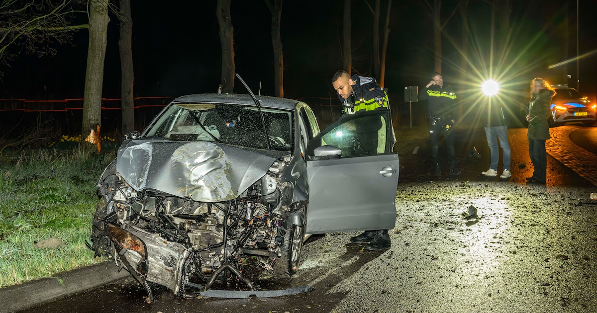 Automobilist slaat op de vlucht na botsing tegen boom en lantaarnpaal in Delfzijl