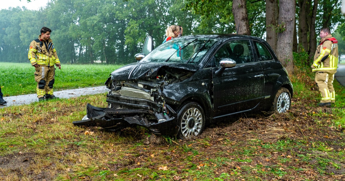 Automobiliste botst tegen boom op N310 bij Garderen