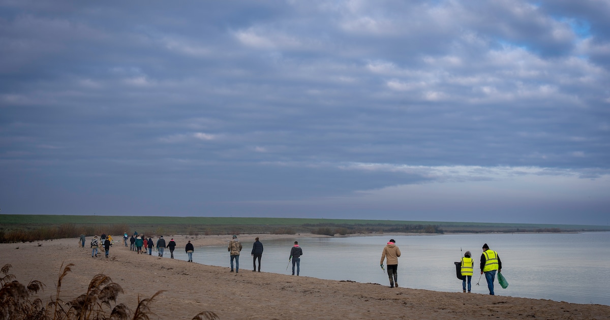 Dit stuurden jullie in: Schoonmaakactie op Trintelstrand levert verrassende vondsten op • Jongenskoo