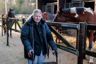 Image related to the article