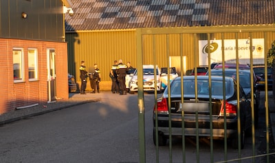 Ruzie escaleert in weiland: geen vechtpartij van man tegen man, maar één tegen drie met vleeshamer e