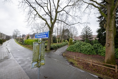 Image related to the article