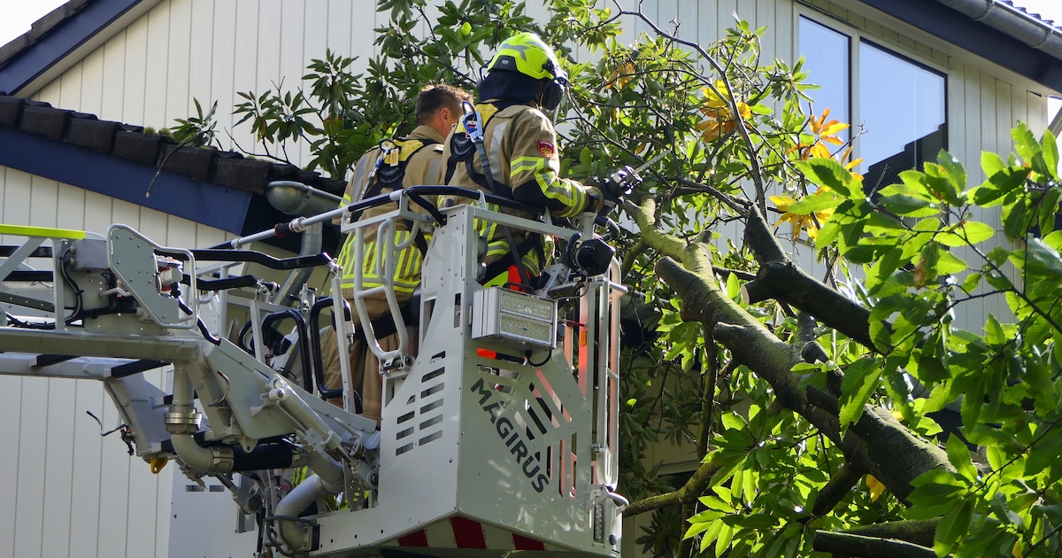 Grote boom valt op woning aan de Mercury in Soesterberg