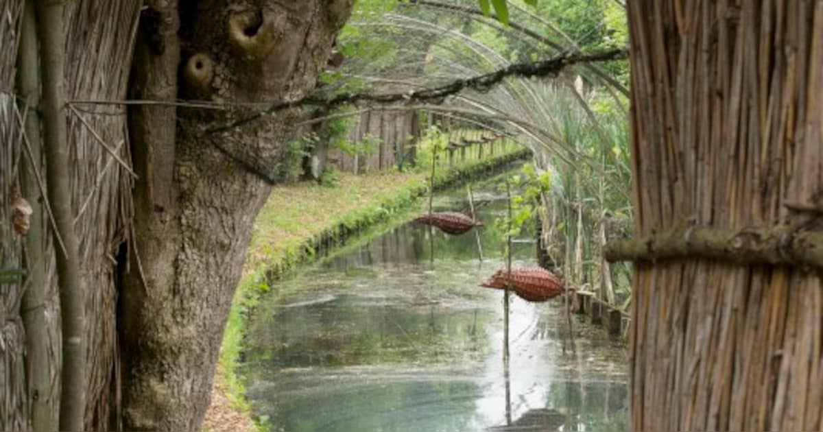Excursie naar eendenkooi Batenburg