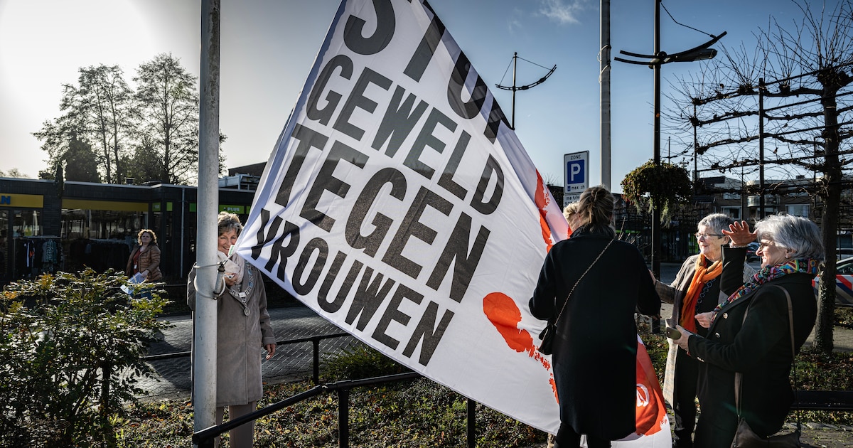 Bijeenkomst over geweld tegen vrouwen in gemeentehuis Vianen