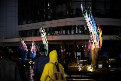 Image related to the article