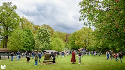 Image related to the article