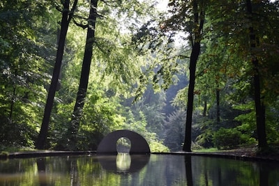 Avondwandeling op landgoed Oorsprong in Oosterbeek