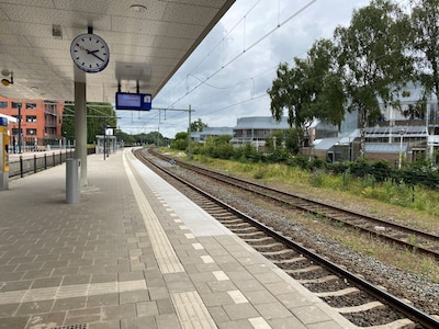 Met de trein vanuit Helmond? Dan zie je straks misschien wel de IC 31 op het vertrekbord staan