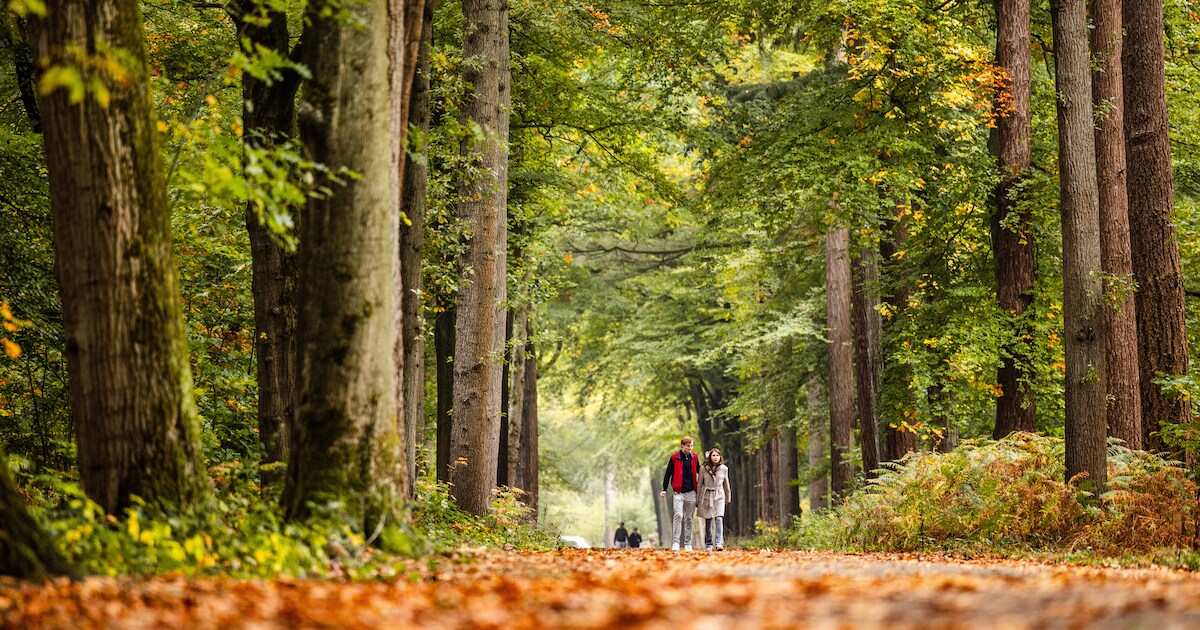 Eerste Jan Wolkerswandeling van 2026 start bij kasteel Oud Poelgeest