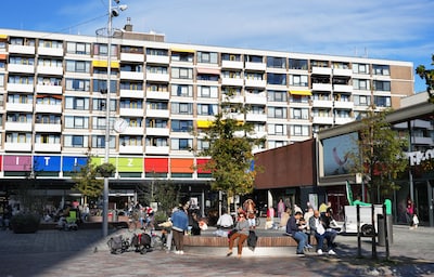 Image related to the article