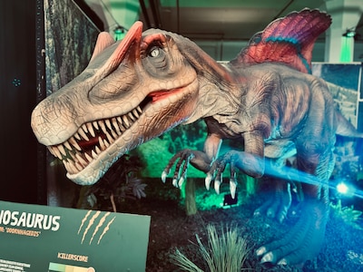 Dino exhibition opens in Zandvoort with 15 shipments and moving giants