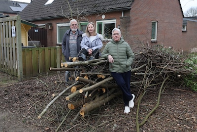 ‘Er is voor de merel niets meer over door de snoeibeurt van de gemeente’
