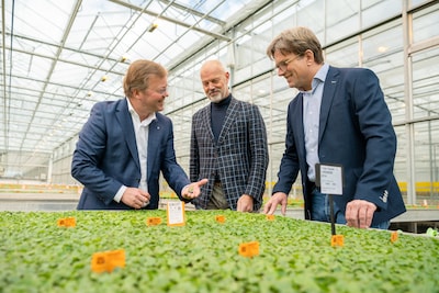 Investeerders redden failliet Schneider Youngplants in Woudrichem: ‘Ik kan tegen vijftig gezinnen ze