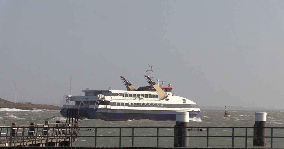 Extra afvaarten en dj op Westerschelde Ferry tijdens Bevrijdingsdag