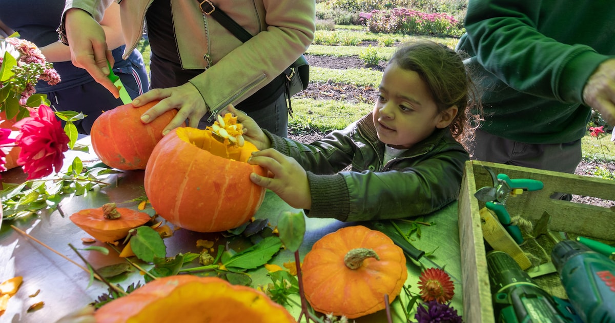 Herfstworkshop laat kinderen pompoenen omtoveren tot decoratie