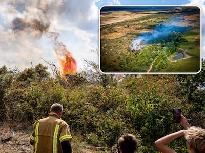 Brandweerman gewond bij blussen duinbrand Ouddorp, veiligheidsregio roept op: ‘Blijf weg uit gebied’