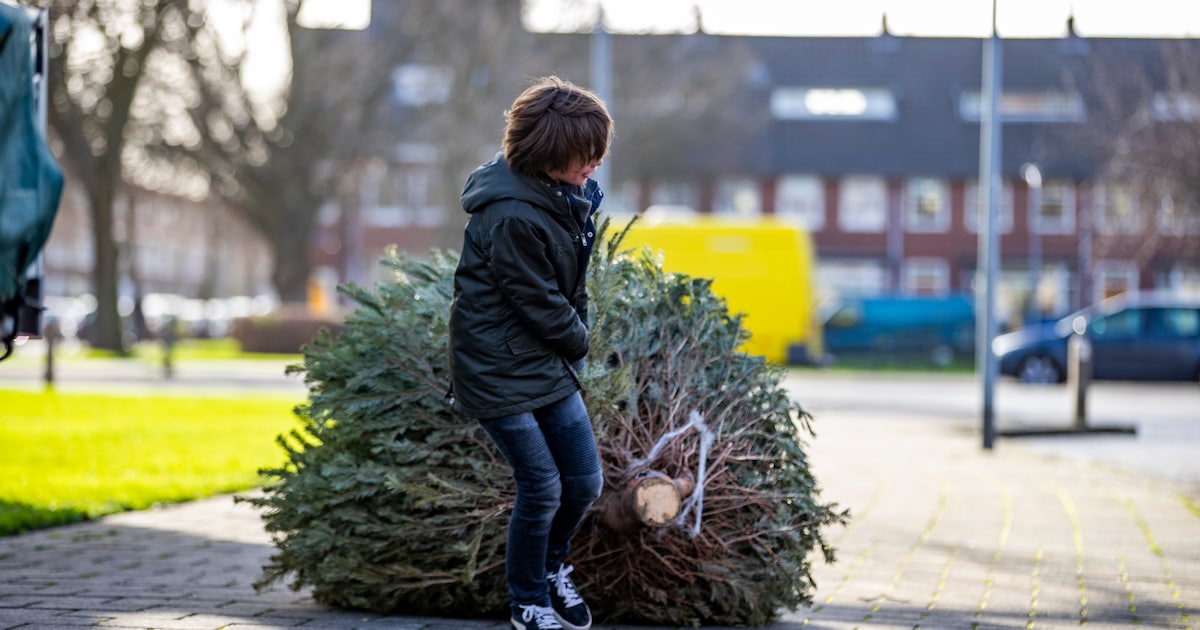 Kerstboom inleveren in Capelle aan den IJssel
