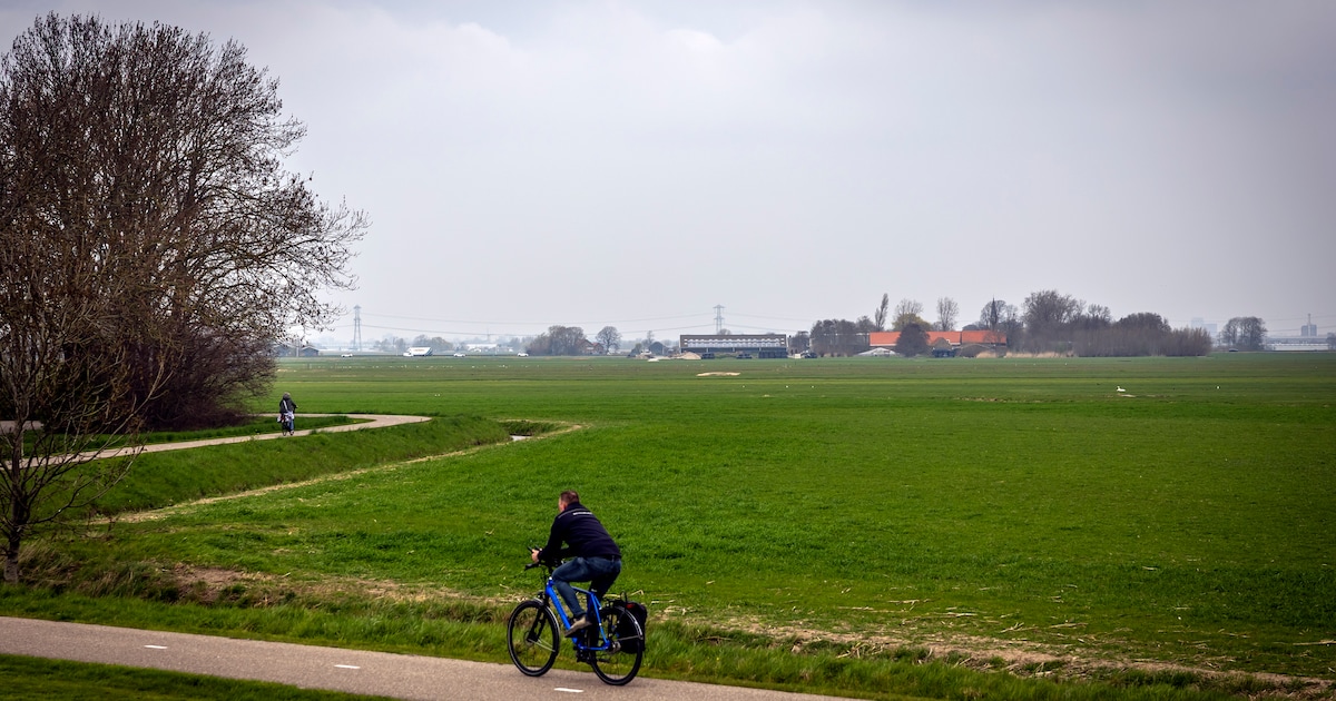 Boeren vrezen waterberging in polder: ‘Waarom moeten wij problemen van de stad oplossen?’