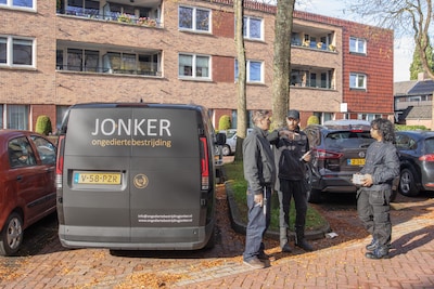 Kakkerlakken teisteren Baarnse appartementen en bezorgen bewoners nachtmerries