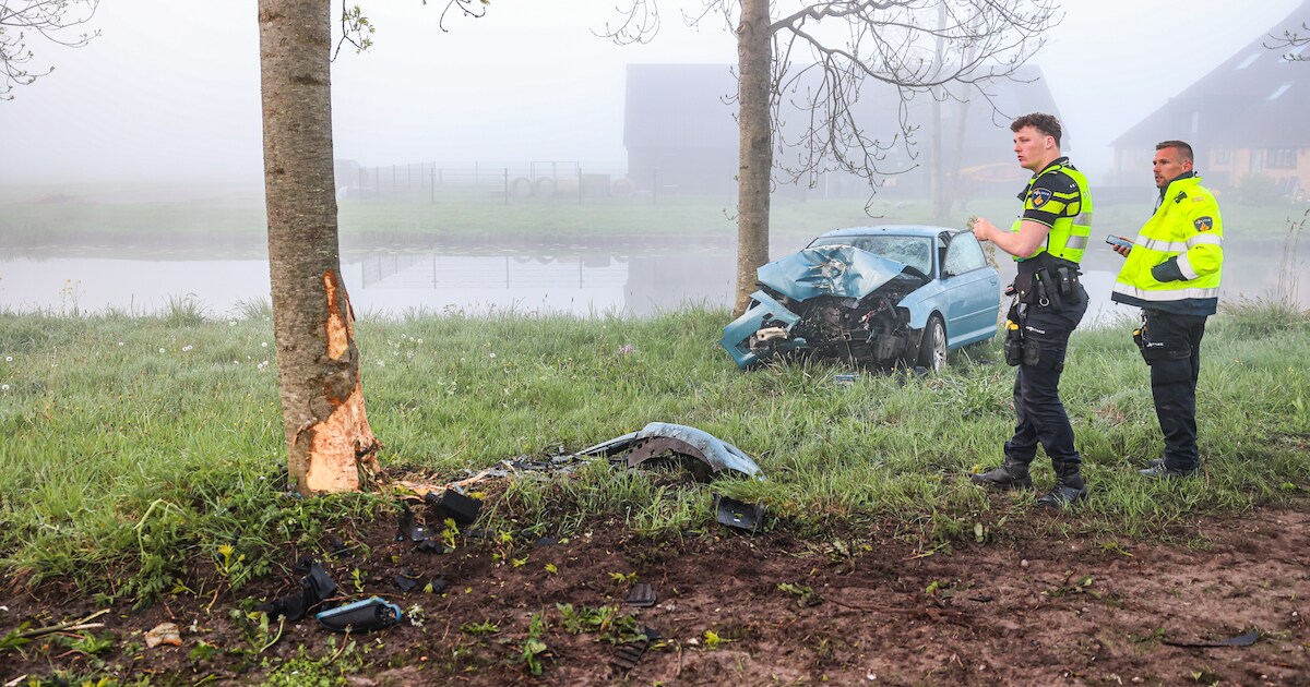 Auto crasht op boom langs Zwarte Weg in Vegelinsoord