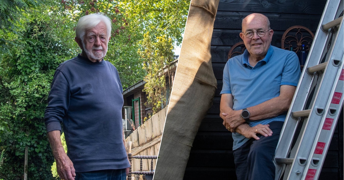 De 100-jarige beuk mag om, maar de burenruzie tussen Dries (86) en Jan (76) is nog lang niet voorbij