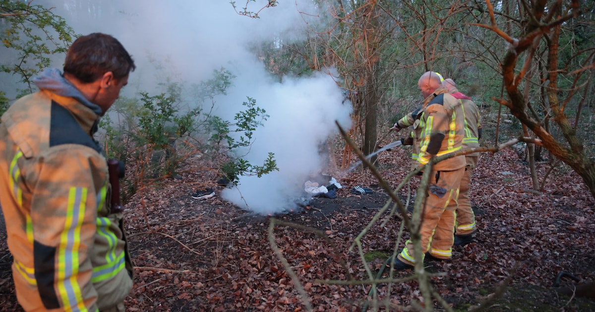 Man maakt eigen kampvuurtje in Haagse Bos, brandweer komt ter plaatse om te blussen