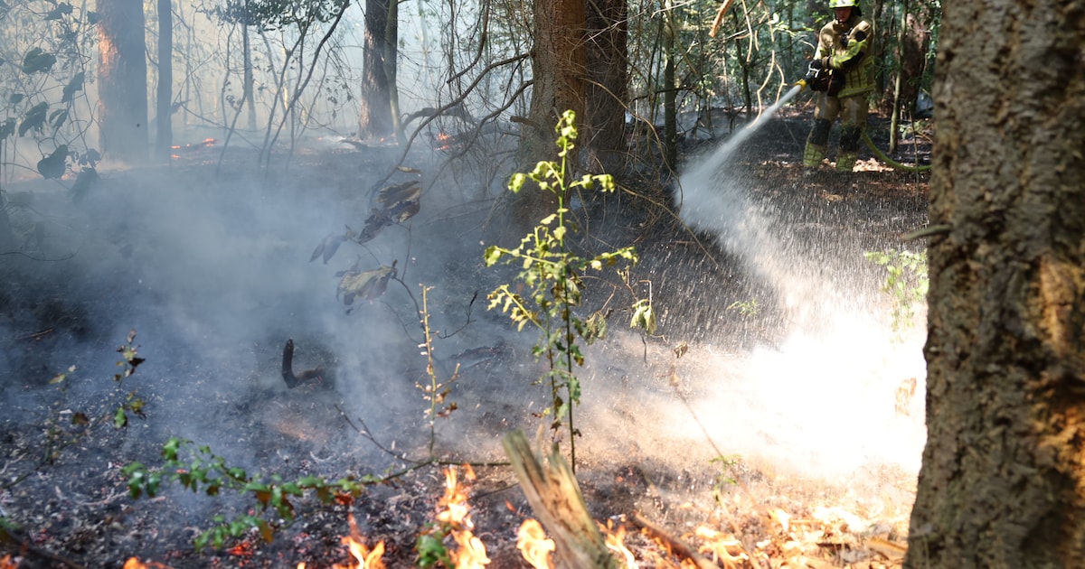 Bosbrand in Soest geblust, maar hulpdiensten voor de voeten gelopen door toeschouwers