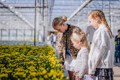 Groene vingers? Deze kwekers in De Ronde Venen openen 11 april hun deuren??