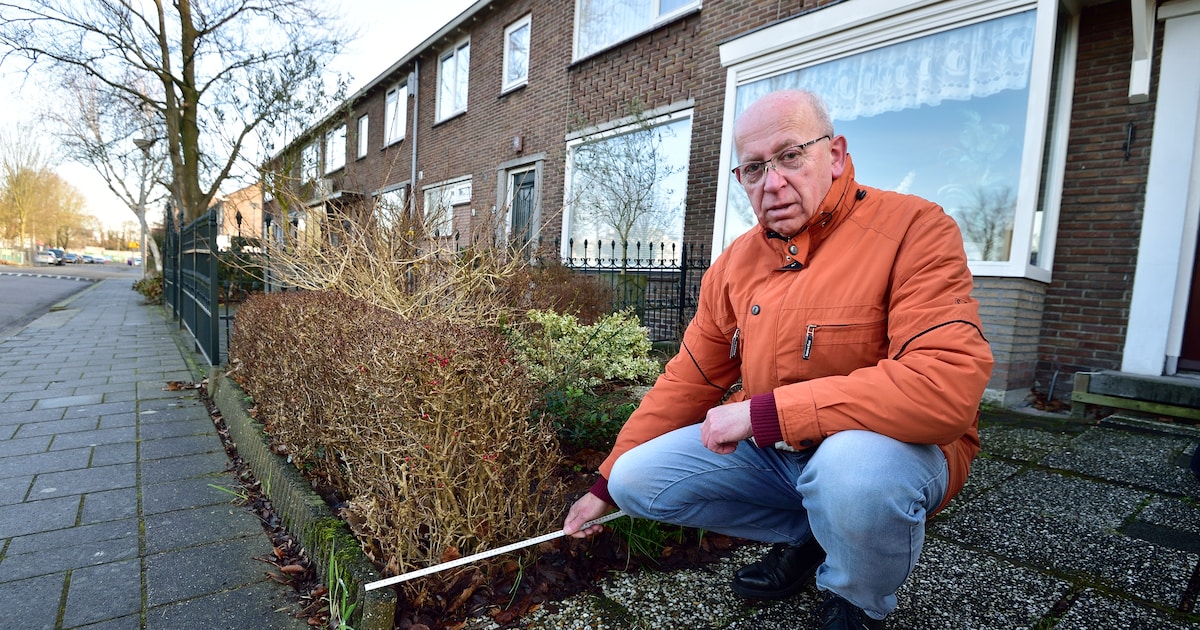 Mag de gemeente zomaar 16.400 vierkante meter grond terugvragen van bewoners? Dit zijn de regels