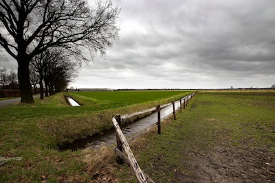 Provincie gaat windpark Diepenhoek vlot trekken: ‘Weinig plekken geschikt voor windenergie’