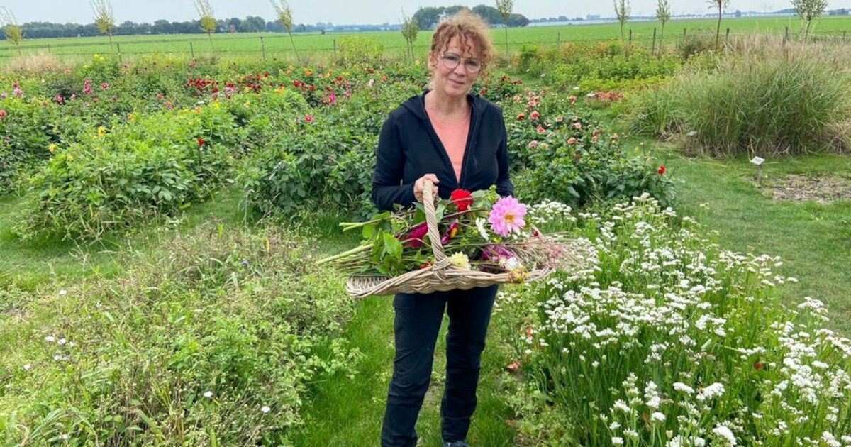 Zomerse plukavond in Oostvoorne | Voorne aan Zee