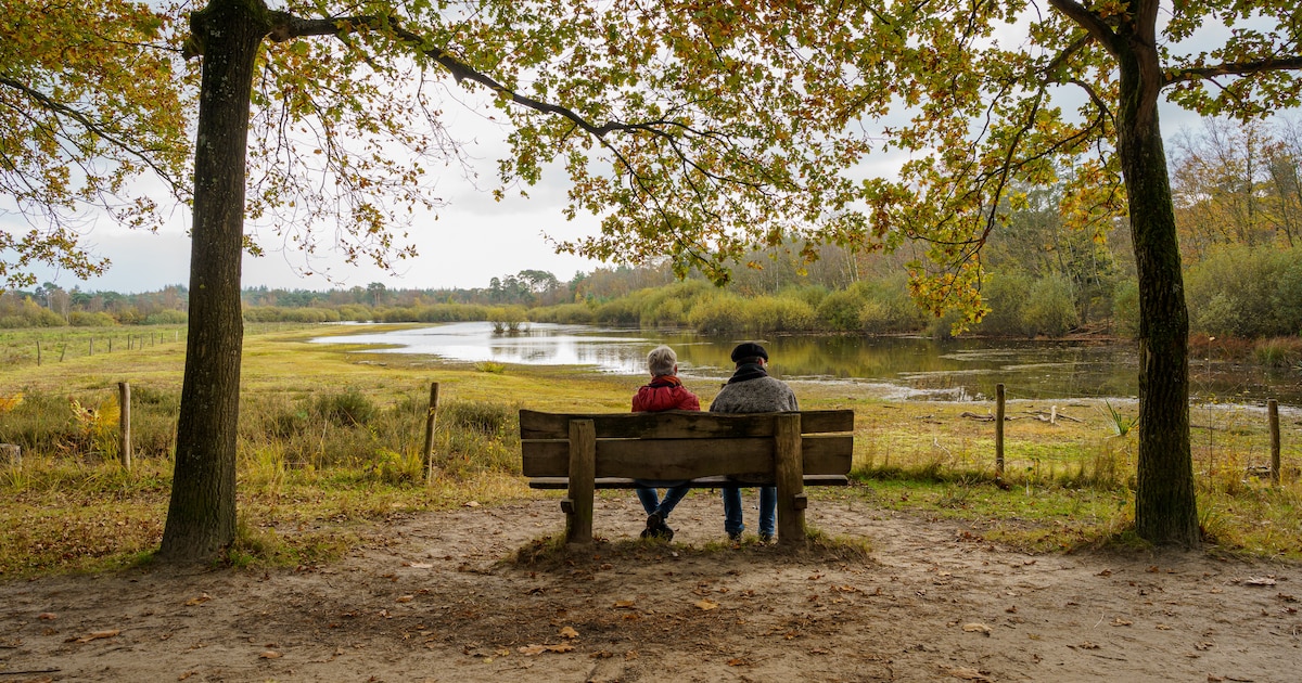 IVN Geysteren-Venray houdt herfstwandeling door de Ravenvennen in Lomm