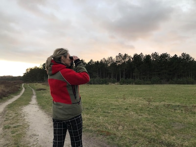 Cursus ‘Vogels voor beginners’ in Montfoort: 6 lesavonden en 2 natuurexcursies