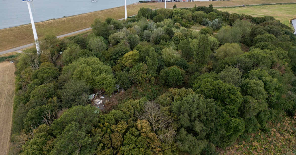 Vlissingse daklozen en verslaafden vinden plek op de ‘Flakkaberg’, een verborgen tentenkamp | Foto