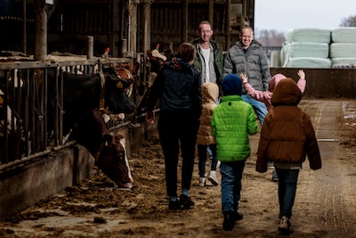 Image related to the article