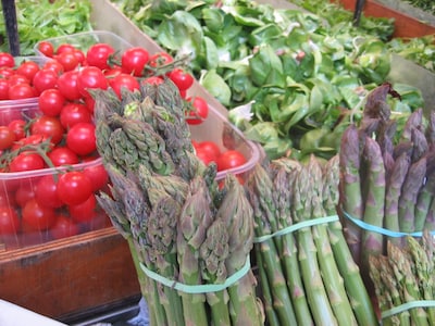 Het ‘lot’ van de Groenteloods hangt nog in de lucht: Oisterwijk moet huiswerk over eigen besluit opn