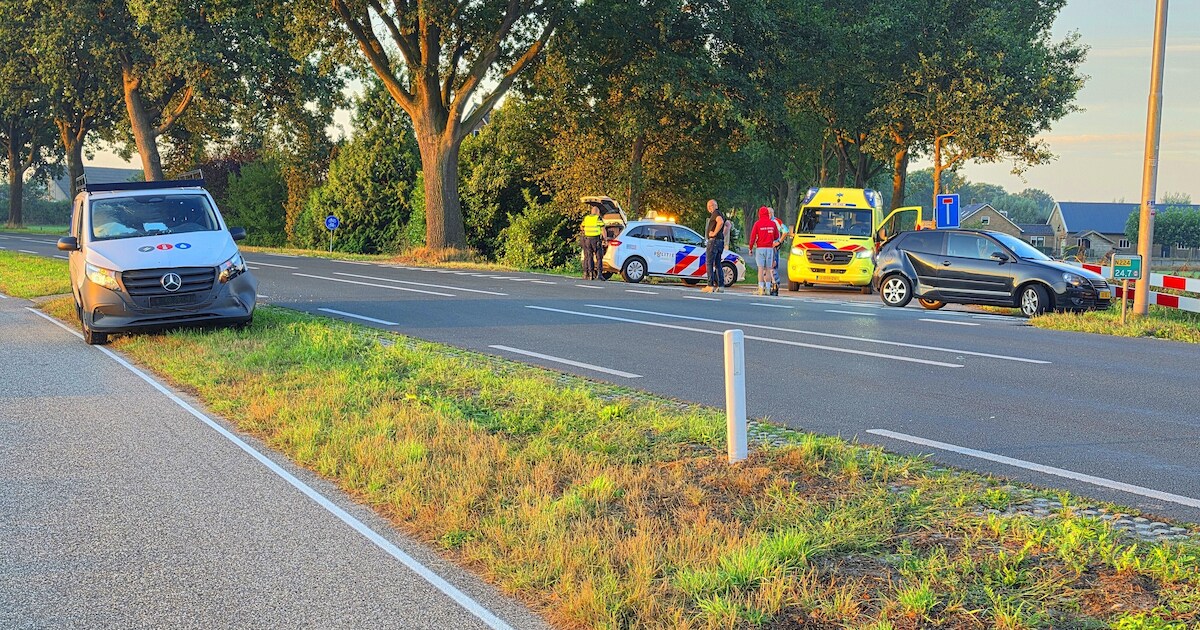 Auto en bestelbus botsen op Arnhemseweg in Renswoude