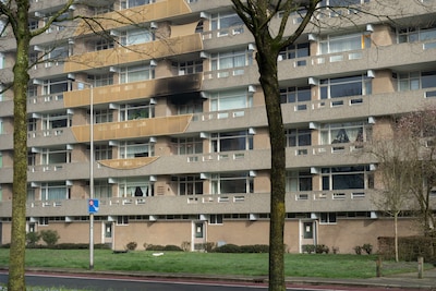 Image related to the article