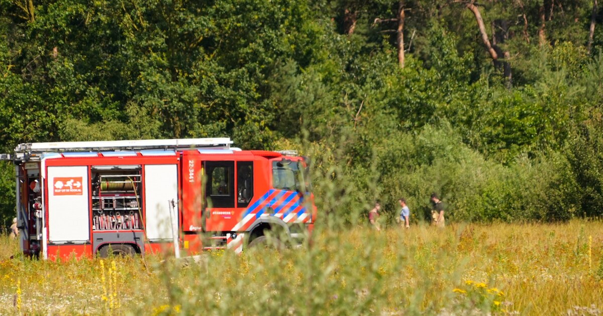 Bosbrand op Grotelseheide in Bakel snel onder controle door snelle brandweerinzet