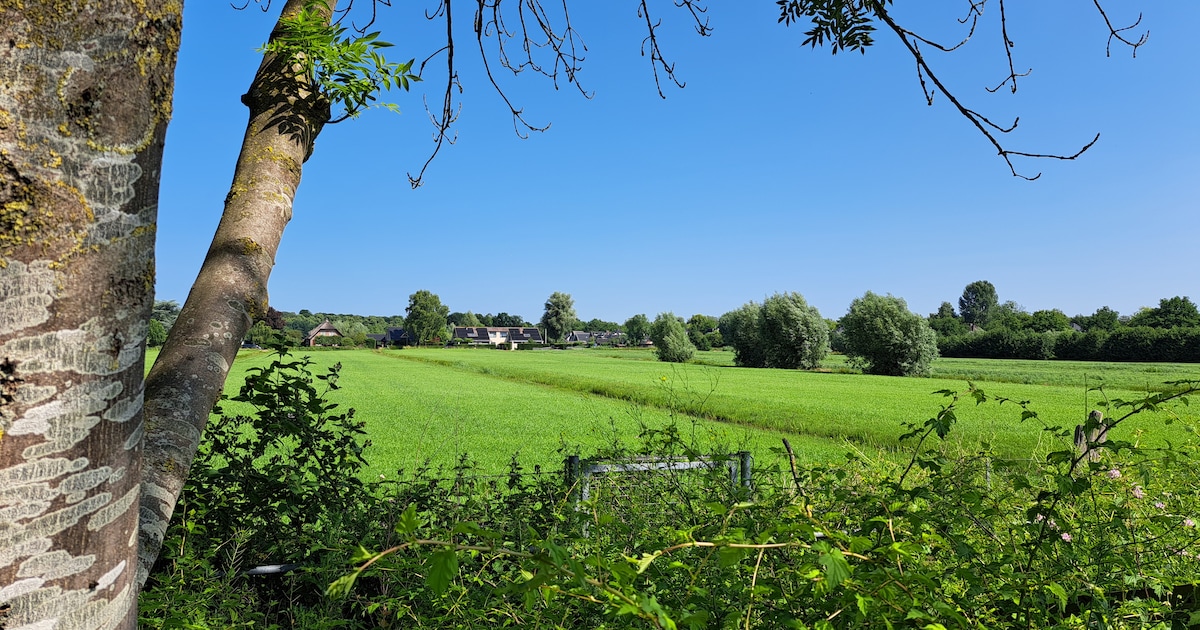 Soest rekent op 700 tot 800 nieuwe woningen nabij de grens met Baarn