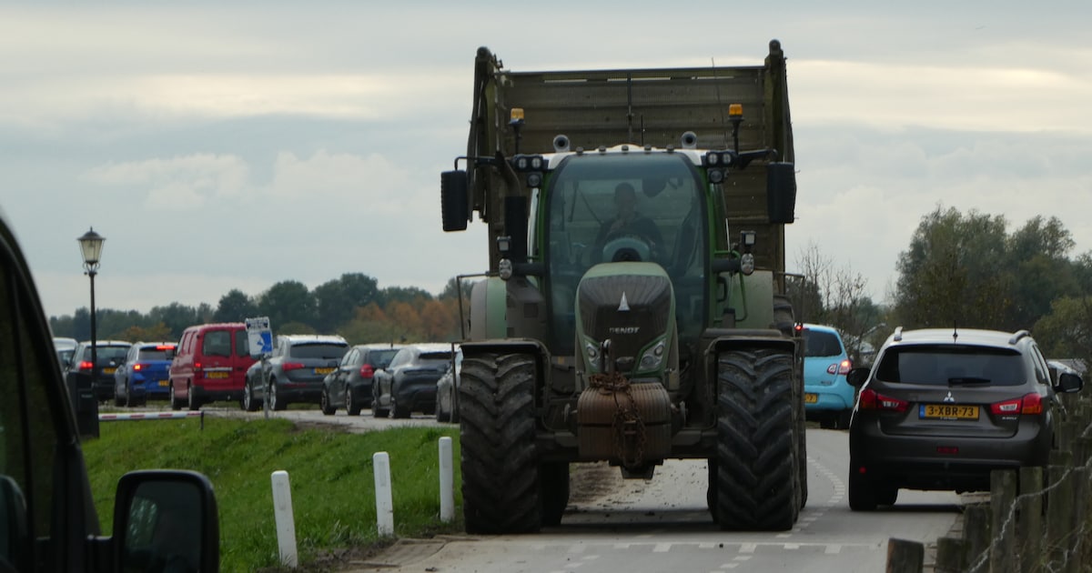 Verkeerschaos op de Lekdijk gaat nog even duren: ‘Vooral een kwestie van houding en gedrag’